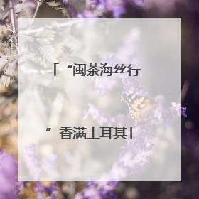 “闽茶海丝行”香满土耳其