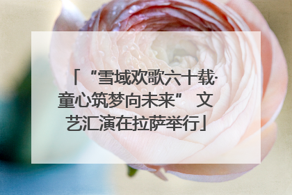 “雪域欢歌六十载·童心筑梦向未来” 文艺汇演在拉萨举行