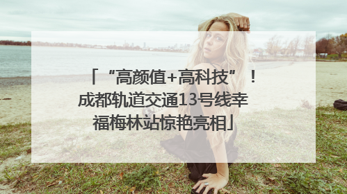 “高颜值+高科技”！成都轨道交通13号线幸福梅林站惊艳亮相