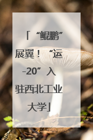 “鲲鹏”展翼！“运-20”入驻西北工业大学