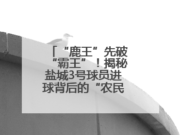 “鹿王”先破“霸王”！揭秘盐城3号球员进球背后的“农民街游侠”联盟