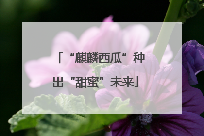 “麒麟西瓜”种出“甜蜜”未来