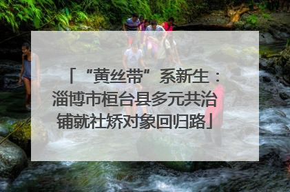 “黄丝带”系新生：淄博市桓台县多元共治铺就社矫对象回归路