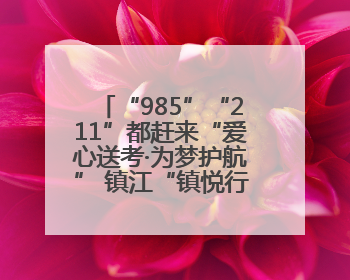“985”“211”都赶来“爱心送考·为梦护航” 镇江“镇悦行”车队正式发车“赶考”