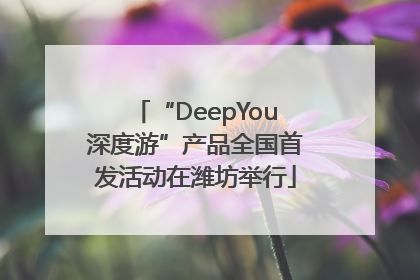 “DeepYou深度游”产品全国首发活动在潍坊举行