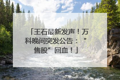 王石最新发声！万科晚间突发公告：“售股”回血！