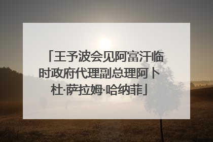王予波会见阿富汗临时政府代理副总理阿卜杜·萨拉姆·哈纳菲