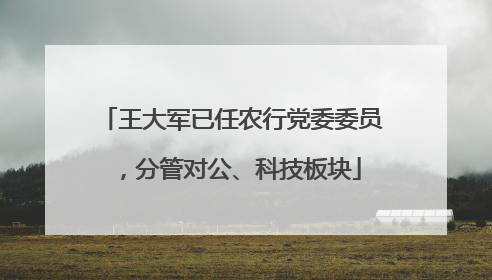 王大军已任农行党委委员，分管对公、科技板块