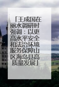 王成国在丽水调研时强调：以更高水平安全和法治环境服务保障山区海岛县高质量发展