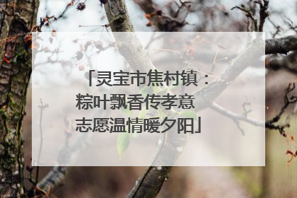 灵宝市焦村镇：粽叶飘香传孝意 志愿温情暖夕阳