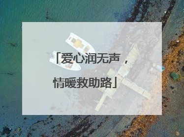 爱心润无声，情暖救助路