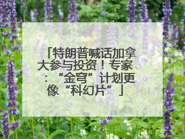 特朗普喊话加拿大参与投资！专家：“金穹”计划更像“科幻片”