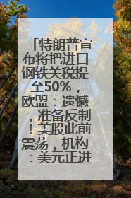 特朗普宣布将把进口钢铁关税提至50%，欧盟：遗憾，准备反制！美股此前震荡，机构：美元正进入熊市