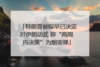 特朗普被曝早已决定对伊朗动武 称“两周内决策”为烟雾弹