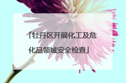 牡丹区开展化工及危化品领域安全检查