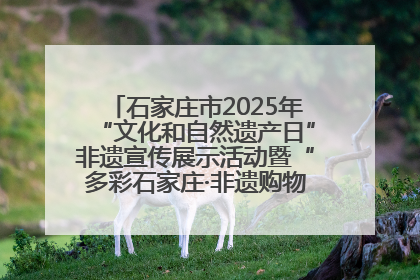 石家庄市2025年“文化和自然遗产日”非遗宣传展示活动暨“多彩石家庄·非遗购物节”倒计时1天