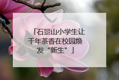石景山小学生让千年茶香在校园焕发“新生”