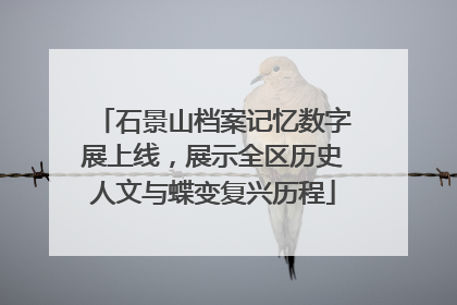 石景山档案记忆数字展上线，展示全区历史人文与蝶变复兴历程