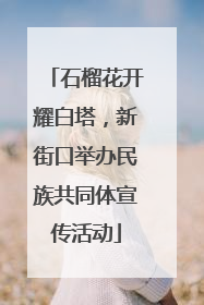 石榴花开耀白塔，新街口举办民族共同体宣传活动