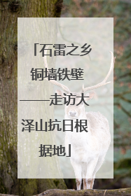石雷之乡 铜墙铁壁——走访大泽山抗日根据地