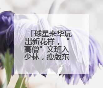 球星来华玩出新花样，“高僧”文班入少林，瘦版东契奇来备战