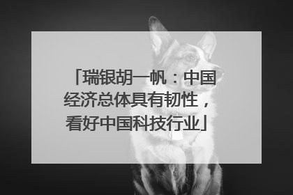 瑞银胡一帆：中国经济总体具有韧性，看好中国科技行业