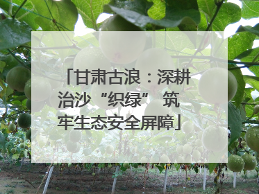 甘肃古浪：深耕治沙“织绿” 筑牢生态安全屏障