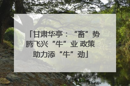 甘肃华亭：“畜”势腾飞兴“牛”业 政策助力添“牛”劲