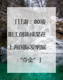 甘肃：80项职工创新成果在上海国际发明展“夺金”