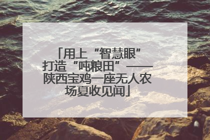 用上“智慧眼” 打造“吨粮田”——陕西宝鸡一座无人农场夏收见闻