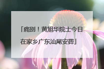 痛别！黄旭华院士今日在家乡广东汕尾安葬
