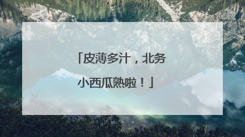 皮薄多汁，北务小西瓜熟啦！