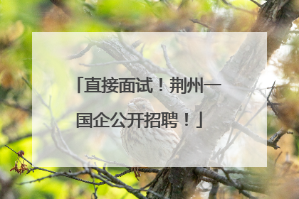 直接面试！荆州一国企公开招聘！