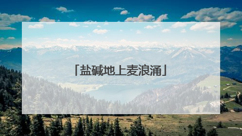 盐碱地上麦浪涌