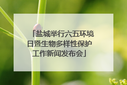 盐城举行六五环境日暨生物多样性保护工作新闻发布会