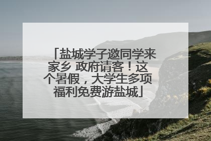 盐城学子邀同学来家乡 政府请客！这个暑假，大学生多项福利免费游盐城