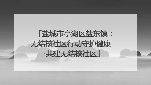 盐城市亭湖区盐东镇：无结核社区行动守护健康 ·共建无结核社区