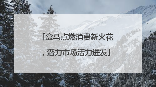 盒马点燃消费新火花，潜力市场活力迸发