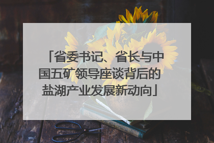 省委书记、省长与中国五矿领导座谈背后的盐湖产业发展新动向