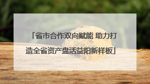 省市合作双向赋能 助力打造全省资产盘活益阳新样板