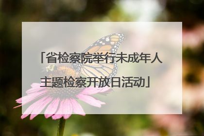 省检察院举行未成年人主题检察开放日活动