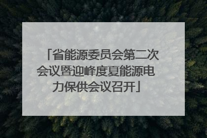 省能源委员会第二次会议暨迎峰度夏能源电力保供会议召开