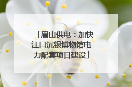 眉山供电：加快江口沉银博物馆电力配套项目建设