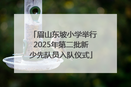眉山东坡小学举行2025年第二批新少先队员入队仪式
