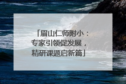 眉山仁师附小：专家引领促发展，精研课题启新篇