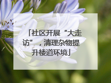 社区开展“大走访”，清理杂物提升楼道环境