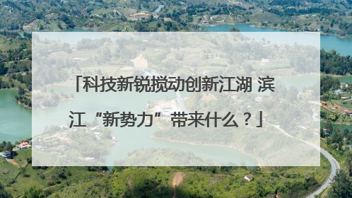 科技新锐搅动创新江湖 滨江“新势力”带来什么？
