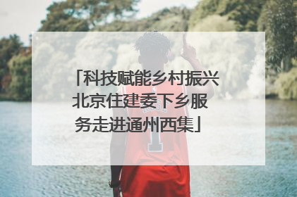 科技赋能乡村振兴 北京住建委下乡服务走进通州西集