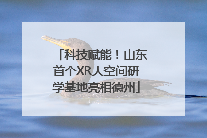 科技赋能！山东首个XR大空间研学基地亮相德州