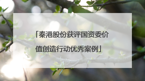 秦港股份获评国资委价值创造行动优秀案例